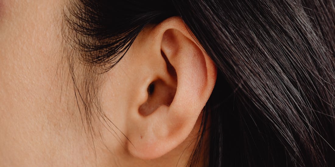 human ear