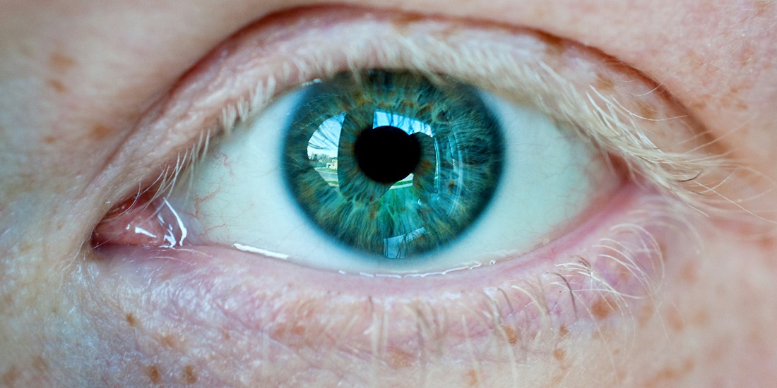 Detalj oka i kapka osobe koje se pita zašto nastaju milije ovde