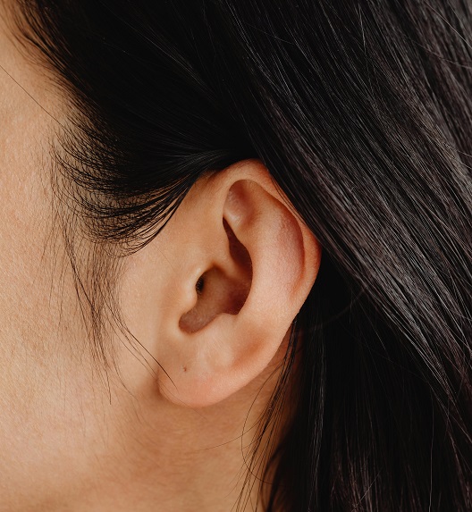 spoljašnje uho odrasle osobe